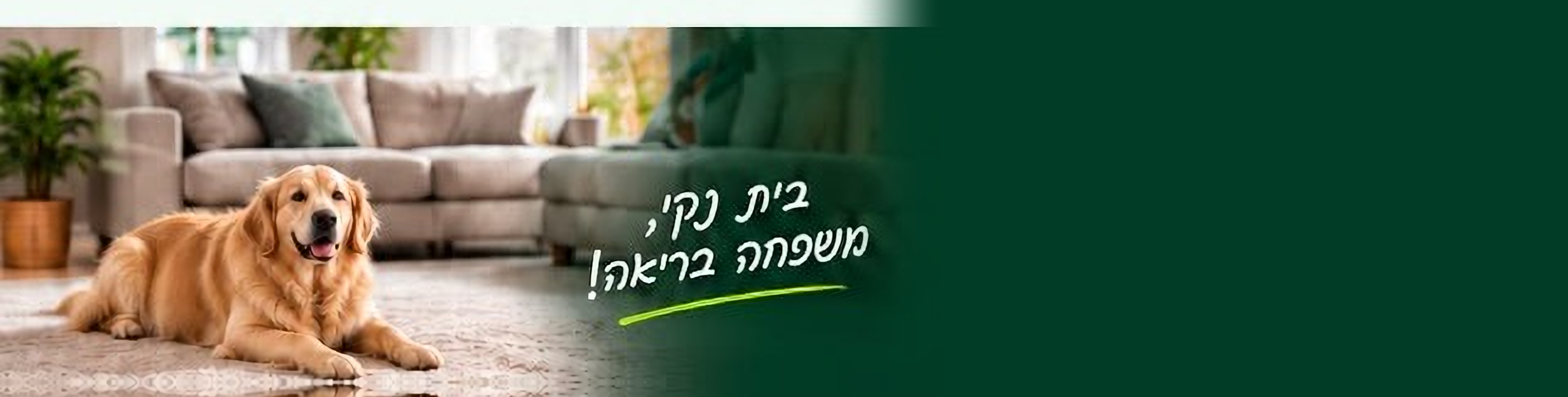 בית נקי, משפחה בריאה! - Mr. Green