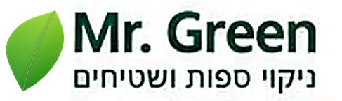 Mr. Green - ניקוי ספות ושטיחים