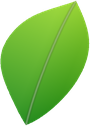 Mr. Green